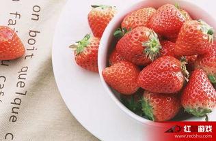 娱乐吃瓜酱草莓视频,娱乐吃瓜酱带你揭秘娱乐圈幕后故事